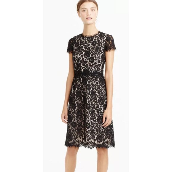 J. Crew Collection Women's Size 10 Black Lace Fit & Flare Dress F9096 - Picture 11 of 11